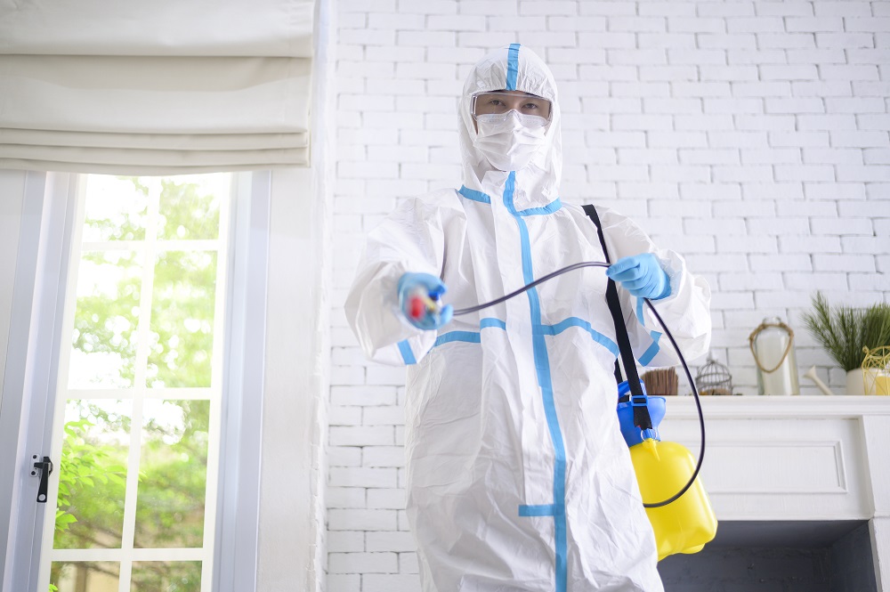 Hawx Pest Control Reviews: What New Clients Should Know